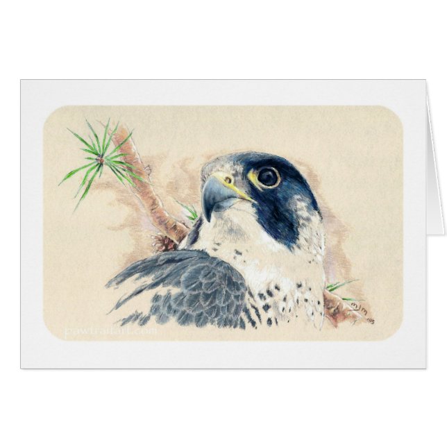 《鳥》ハヤブサ (正面横)