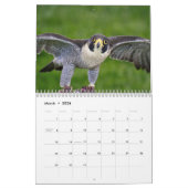 《鳥》ハヤブサ20 カレンダー (3月 2026)