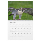 《鳥》ハヤブサ20 カレンダー (3月 2027)