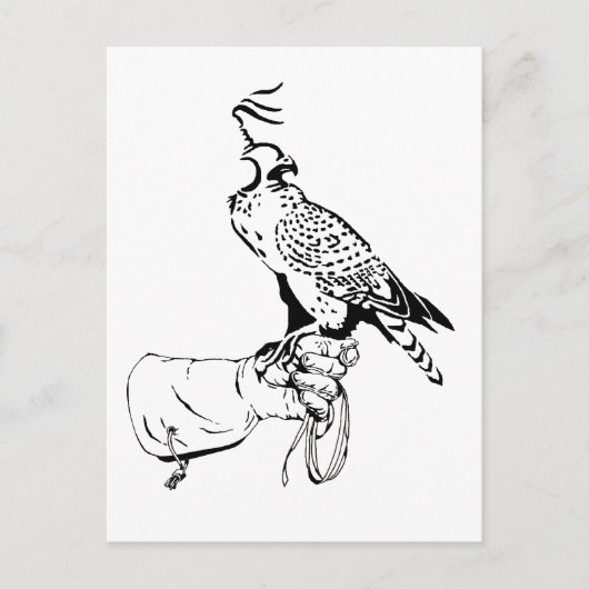 《鳥》ハヤブサ・オン・グローブポストカード ポストカード (正面)