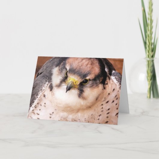 《鳥》ハヤブサ カード (正面)