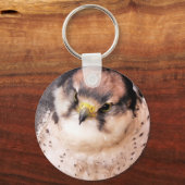 《鳥》ハヤブサ キーホルダー (正面)