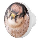 《鳥》ハヤブサ セラミックノブ (右)