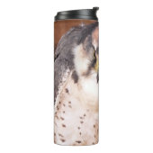 《鳥》ハヤブサ タンブラー (回転左)