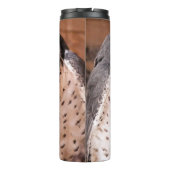 《鳥》ハヤブサ タンブラー (裏面)