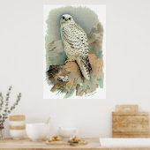 《鳥》ハヤブサ ポスター (キッチン)