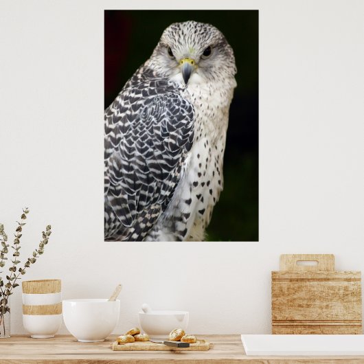 《鳥》ハヤブサ ポスター (キッチン)