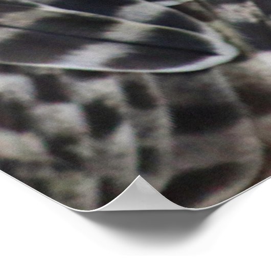 《鳥》ハヤブサ ポスター (角)