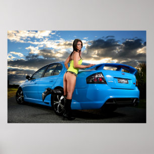 《鳥》ハヤブサ ポスター