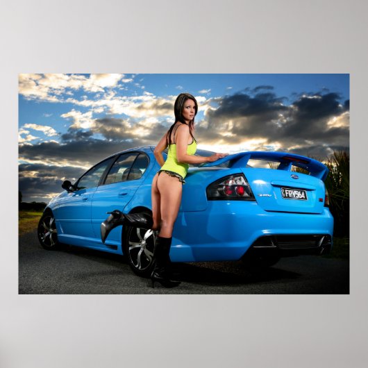 《鳥》ハヤブサ ポスター (正面)