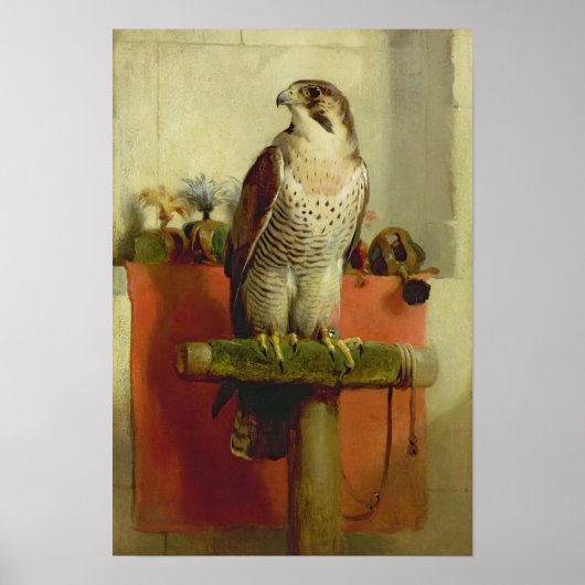 《鳥》ハヤブサ, 1837 ポスター (正面)