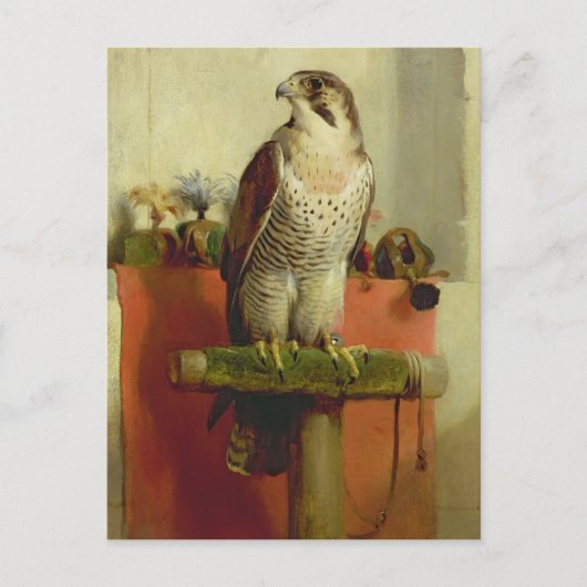 《鳥》ハヤブサ, 1837 ポストカード (正面)