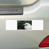 鳥 バンパーステッカー (車上)