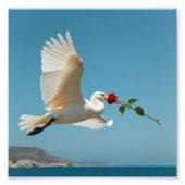 鳥 フォトプリント            (正面)