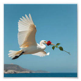 鳥 フォトプリント           