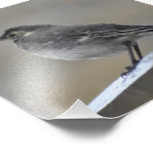 鳥 フォトプリント            (角)