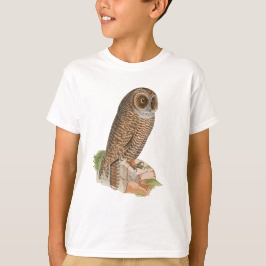 鳥、フクロウ、自然写真 Tシャツ (正面)