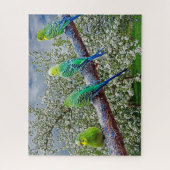 鳥 – ブダギー ジグソーパズル (縦)