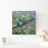 鳥 – ブダギー スクエア壁時計 (ホーム)