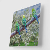 鳥 – ブダギー スクエア壁時計 (傾斜)