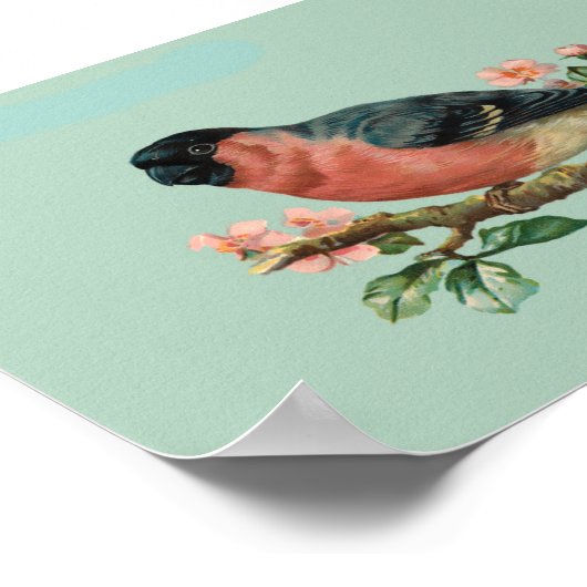 鳥 ポスター (角)