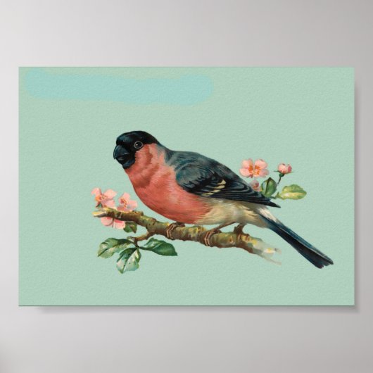 鳥 ポスター (正面)