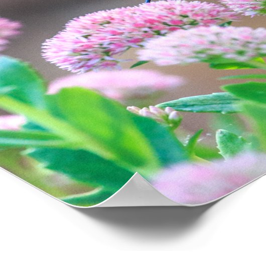 鳥 ポスター (角)