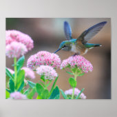 鳥 ポスター (正面)