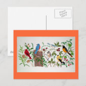 鳥 ポストカード (正面/裏面)