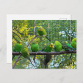 鳥 ポストカード (正面/裏面)