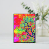 鳥 ポストカード (スタンド正面)