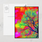 鳥 ポストカード (正面/裏面)