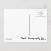 鳥 ポストカード (裏面)