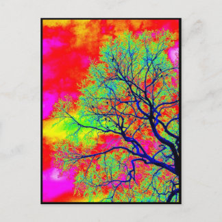 鳥 ポストカード