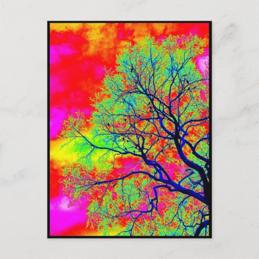 鳥 ポストカード (正面)