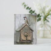 鳥 ポストカード (スタンド正面)