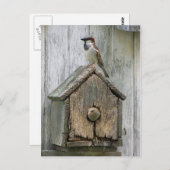 鳥 ポストカード (正面/裏面)