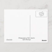 鳥 ポストカード (裏面)