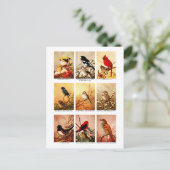 鳥 ポストカード (スタンド正面)