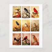 鳥 ポストカード (正面)