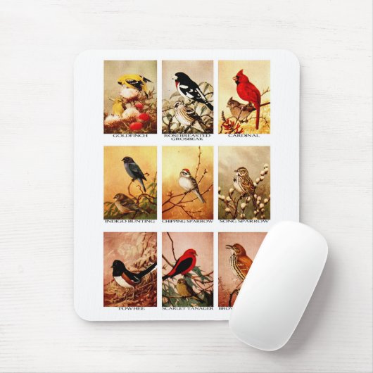 鳥 マウスパッド (マウス)