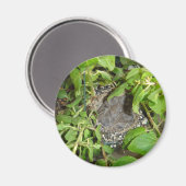 鳥 マグネット (正面/裏面)