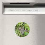 鳥 マグネット (インサイチュ (食洗機))