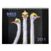 鳥、奇妙2011年 カレンダー (カバー)