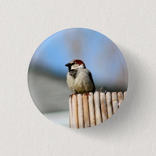 鳥 缶バッジ (正面)