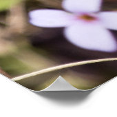 鳥 – 足バイオレットとブルーツワイルドフラワーポスター ポスター (角)