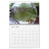 鳥、魚、その他のエキゾチックな動物 カレンダー (3月 2026)