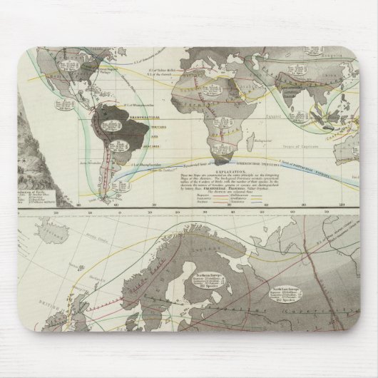 鳥，鳥 マウスパッド (正面)