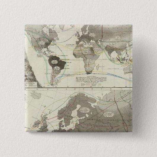 鳥，鳥 缶バッジ (正面)