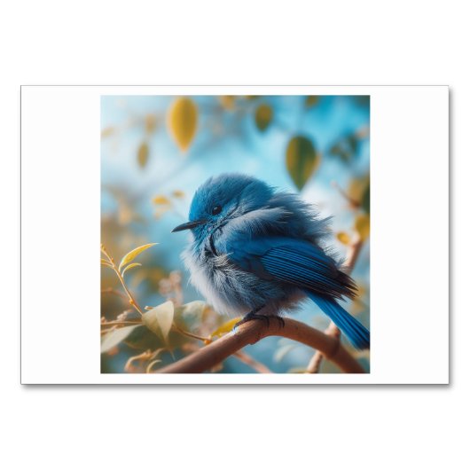 鳥(새) – 韓国フラッシュカード テーブルナンバー (正面)